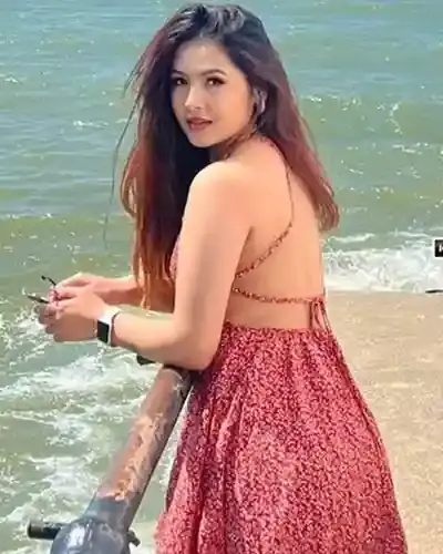 Vasant Kunj Escort Service