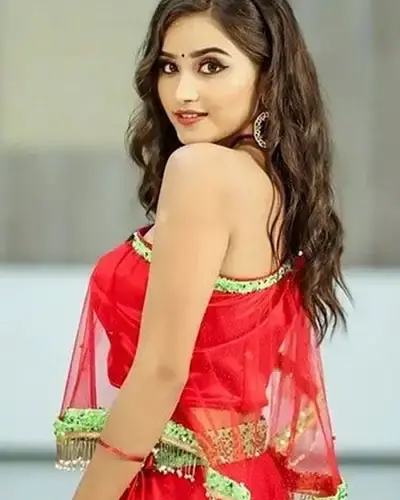 Escort In Vasant Kunj